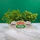 image 3 of Friends Table Top Vase - Central Perk