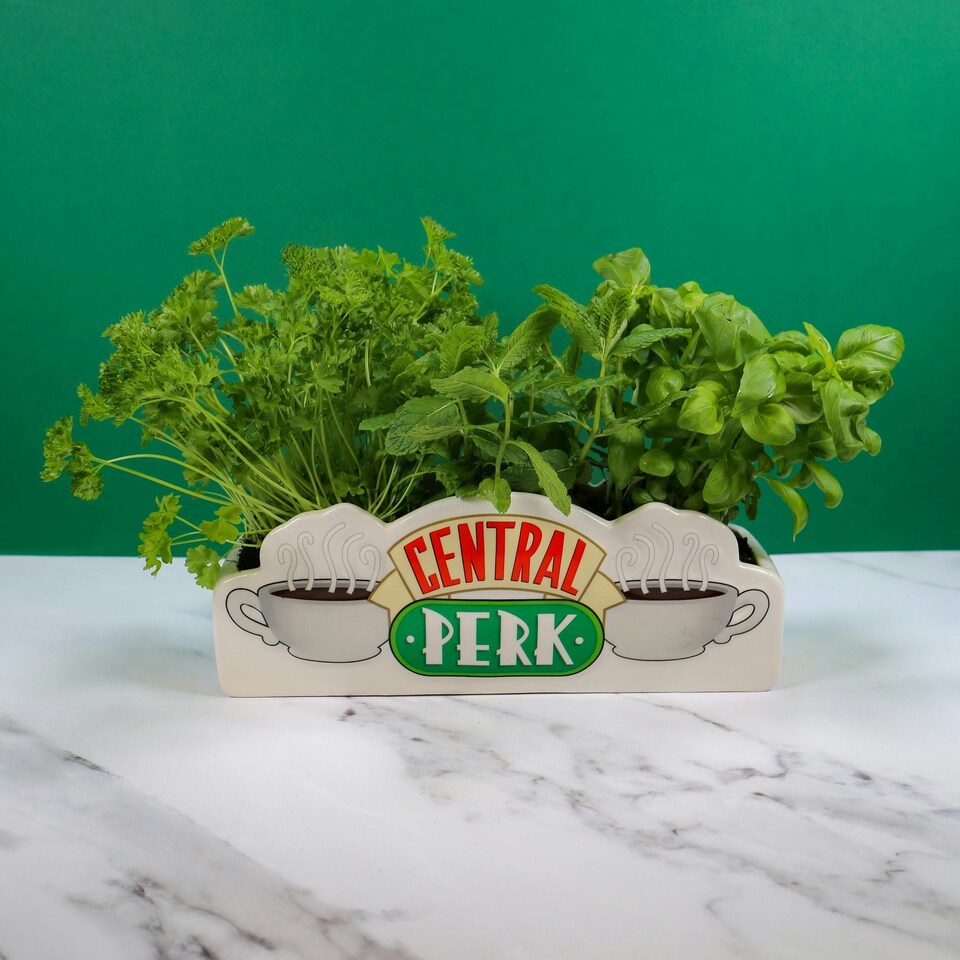 image 1 of Friends Table Top Vase - Central Perk