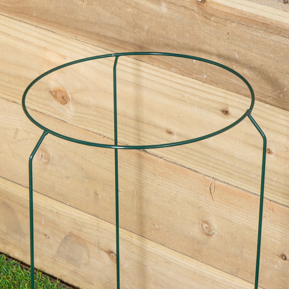 image 1 of Pack of 3 Tom Chambers Urban Metal Herbaceous Garden Plant Support Ring Medium 30cm x 50cm
