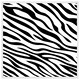 image 1 of Zebra print (Picture Frame) White | XL