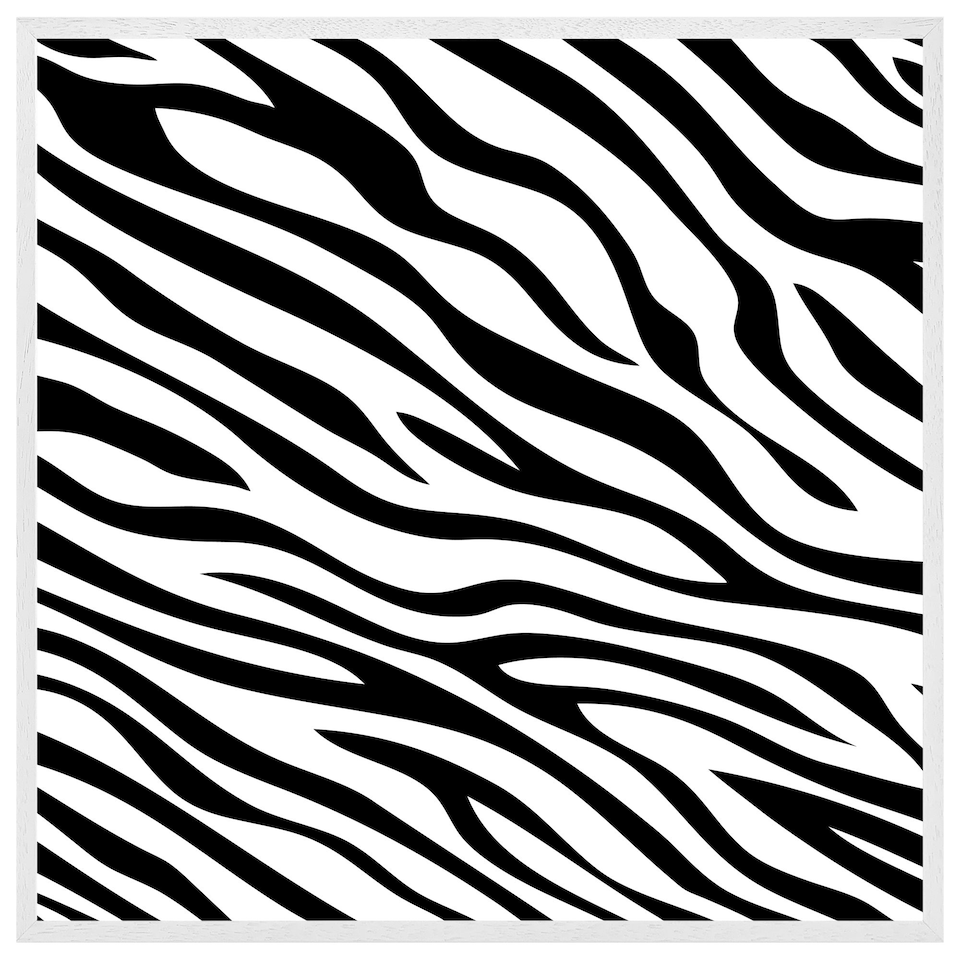image 1 of Zebra print (Picture Frame) White | XL