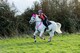 image 4 of Woof Wear Hi Vis Riding Vest (Not Certified) | Pink | Size: Medium
Colour: Hi Viz Pink