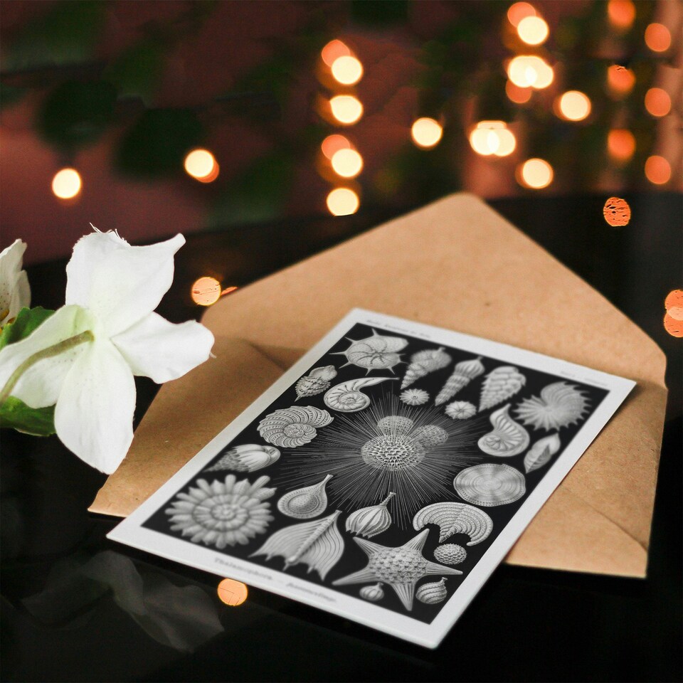 image 1 of Ernst Haeckel Art Card Forams Vintage Illustration