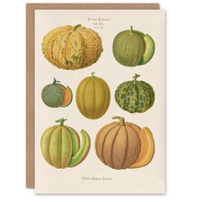 Ernst Benary Art Card Melon Varieties Vintage Illustration