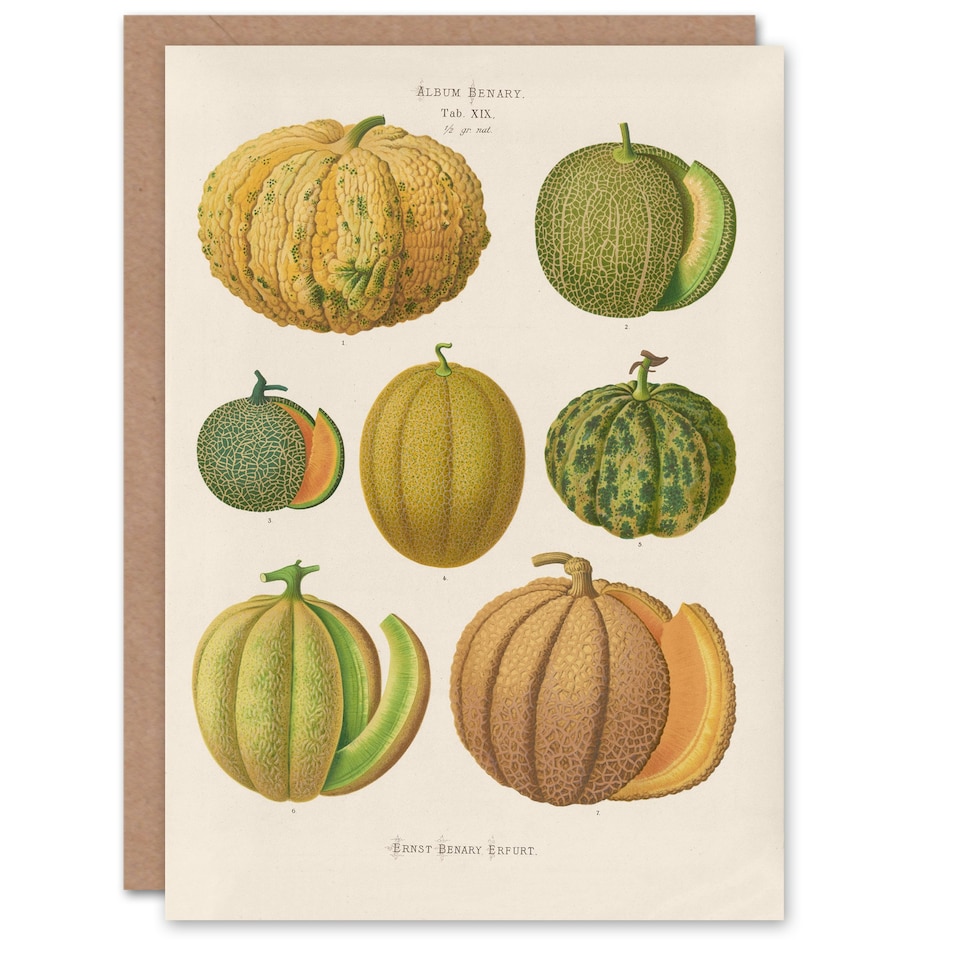 image 1 of Ernst Benary Art Card Melon Varieties Vintage Illustration