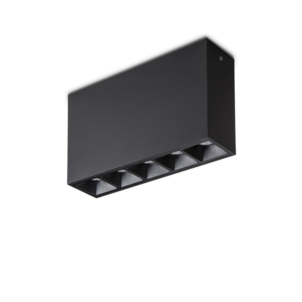 Lika Integrated LED 5 Lights Surface Mounted Ceiling Lamp Black 3000K