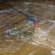 image 5 of Safeguard Pump Action Pressure Sprayer 5 Litre