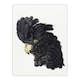 image 1 of Head of a Black Cockatoo Watercolour Schouman Huge Wall Art Poster Print 24X32"