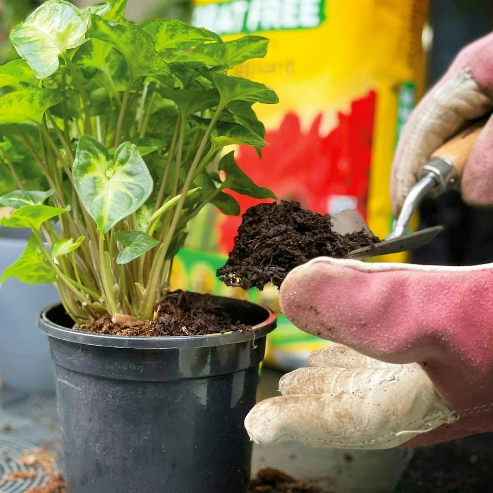 image 1 of Miracle-Gro Peat Free Houseplant Potting Mix - 10L