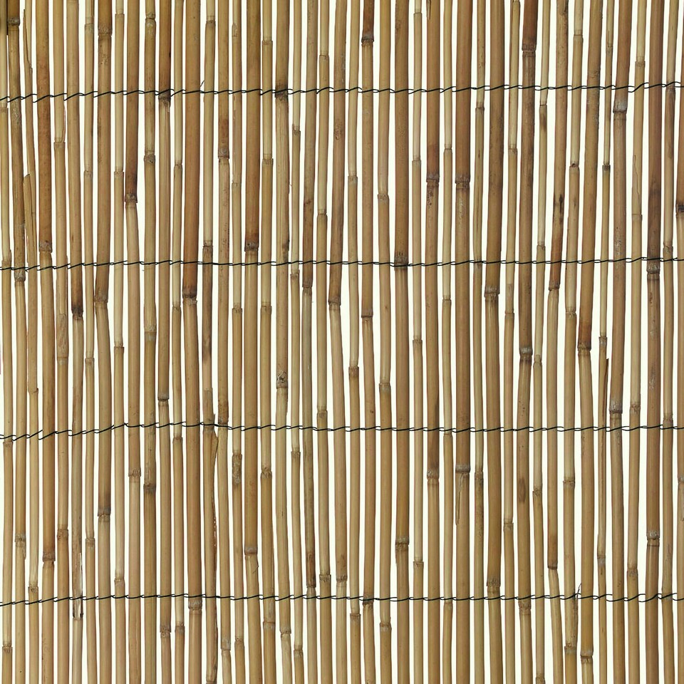 image 1 of Natural Screening Roll Privacy Peeled Reed Wind Sun Protection 3m x 2m Primrose