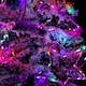 image 3 of 2.6m Set of 10 Star Curtain Lights 227 Rainbow LEDs Microbrights String Lights