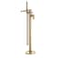 Brushed Brass