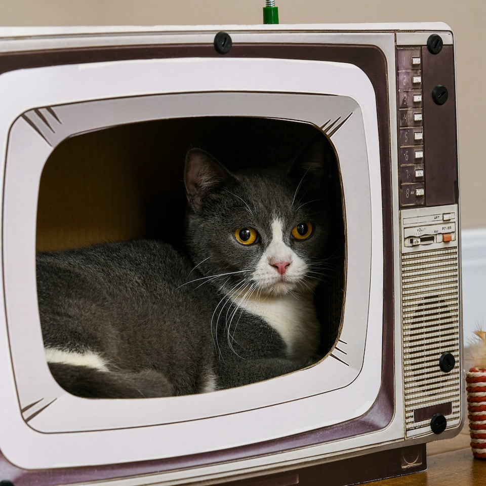 image 1 of PawHut TV-Shaped Cat House, Cardboard with Scratcher Catnip Toy Mouse