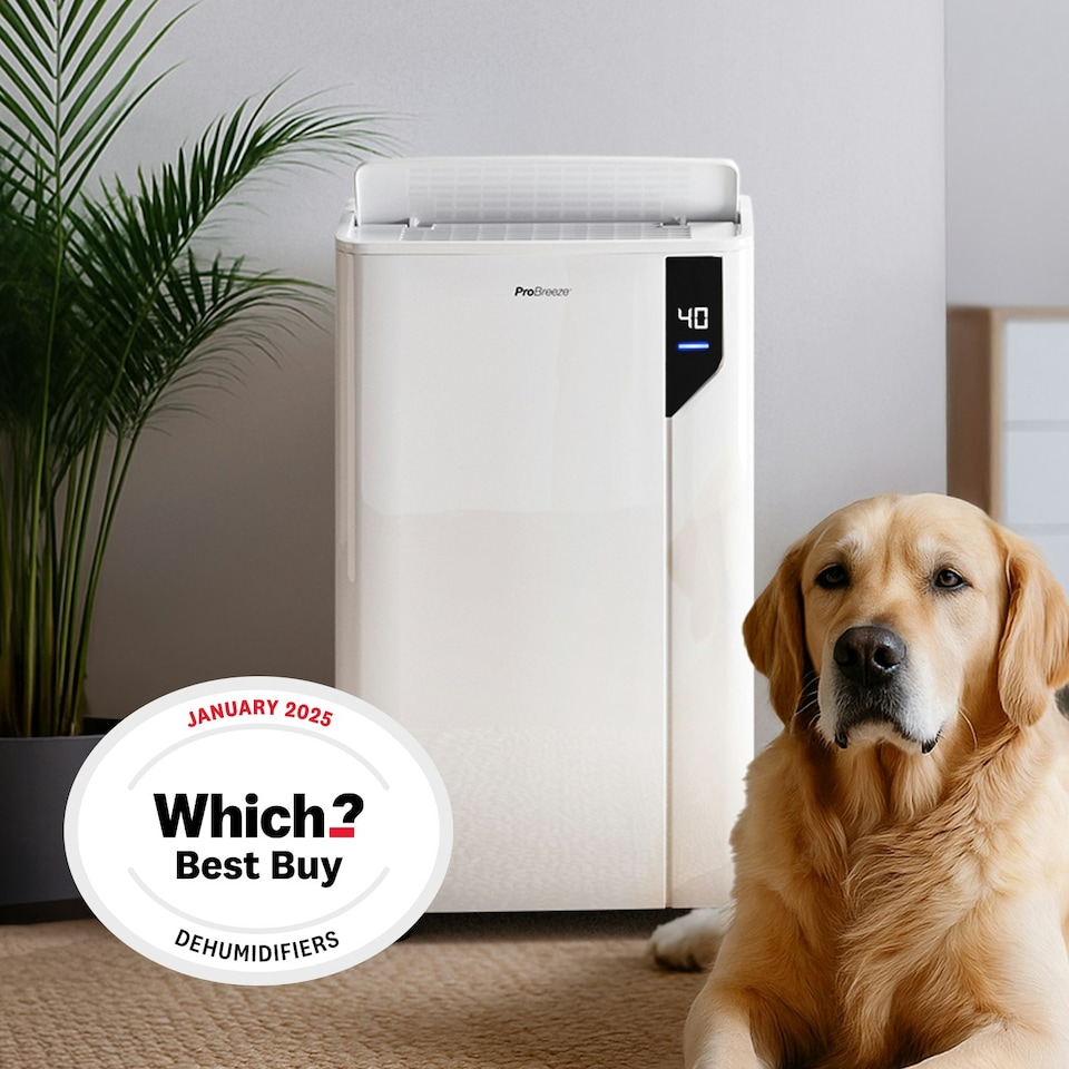 image 1 of Pro Breeze 20L Premium Dehumidifier with Special Laundry Mode