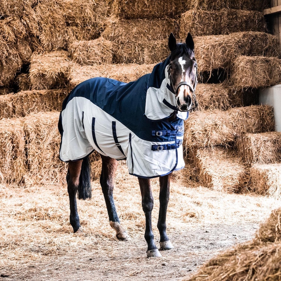 image 1 of eQuitack 600D 2 in 1 Waterproof Fly Turnout Mesh Horse Rug Fixed Neck Navy/Silver 6'6''