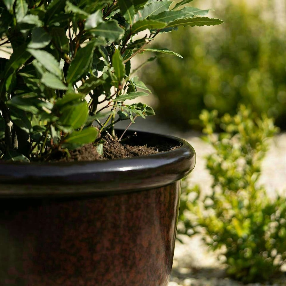 image 1 of Primrose Garden Round Flower Pot Planter Black 26 x 41 x 41 cm