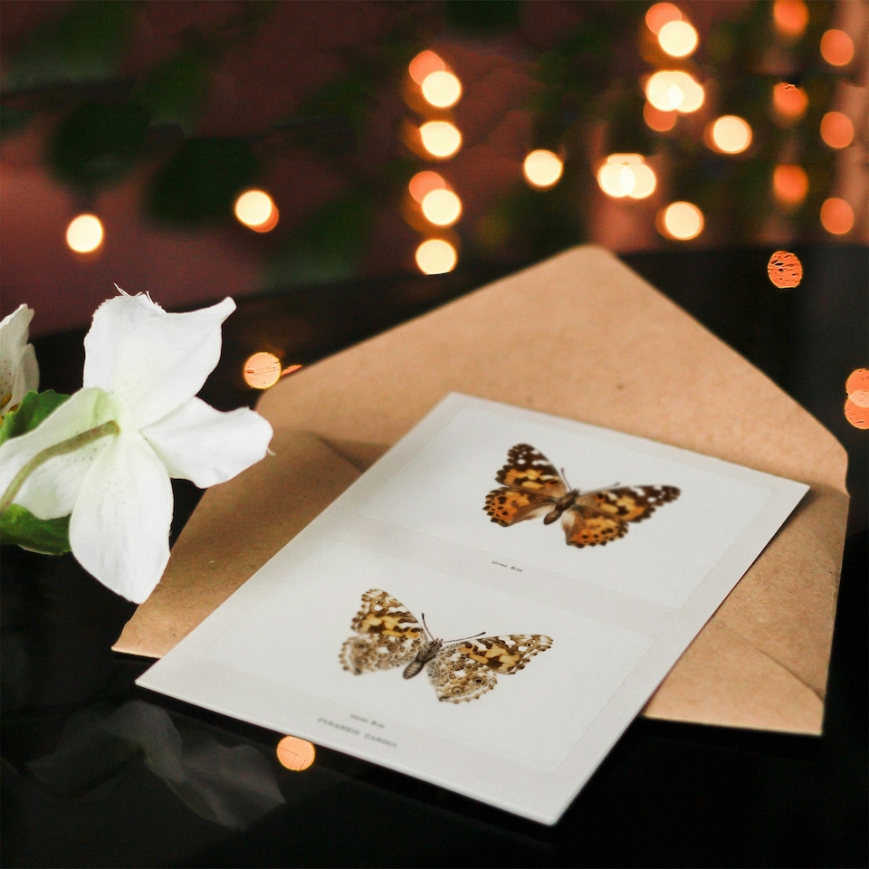 image 1 of Sherman Denton Art Card Painted Lady Butterfly Vintage Illustration