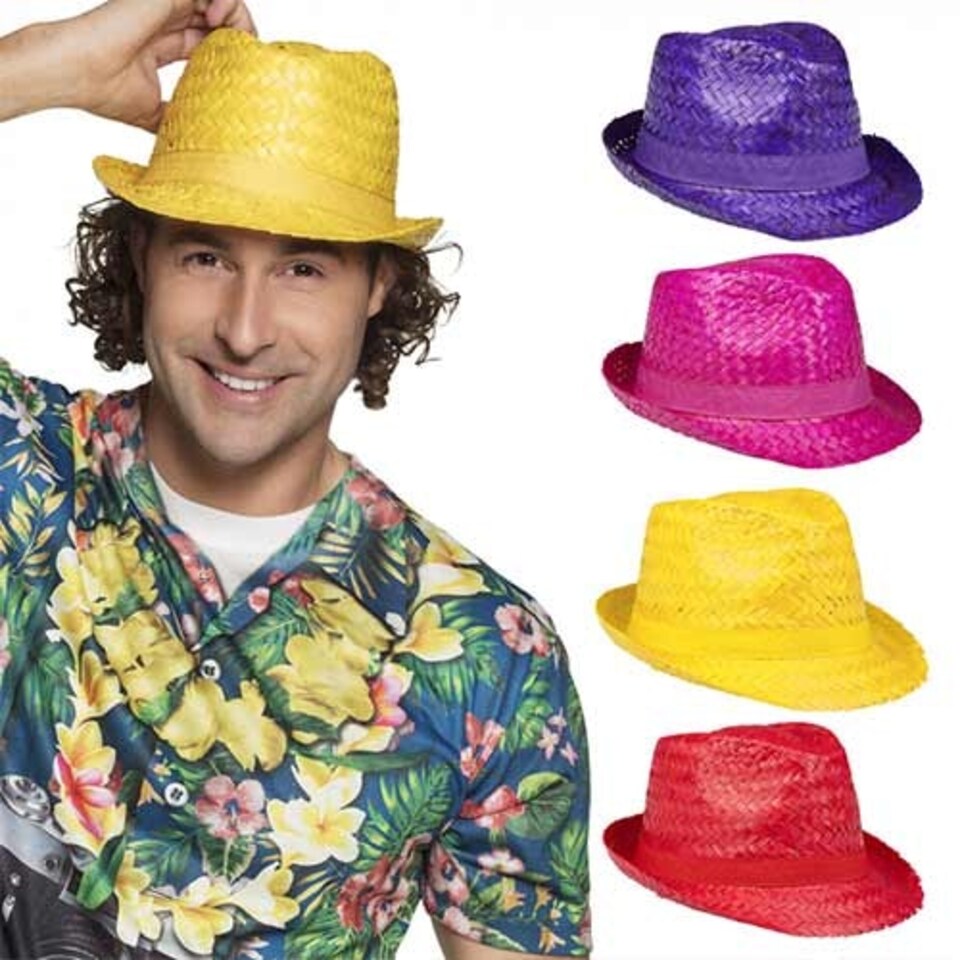 Assorted Aruba Straw Hat Hawaii Fancy Dress