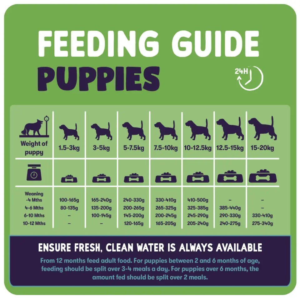 image 1 of Burgess Sensitive Puppy Food with Turkey and Rice - 2KG