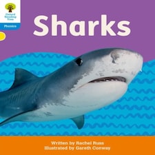 Floppys Phonics Decodable Reader L3 Book
