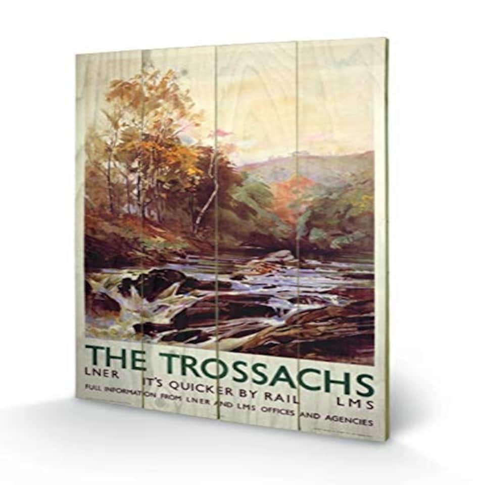 THE TROSSACHS - WOOD PANEL
