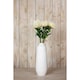 image 4 of Protea Lorea (Single Stem Flower) - Plastic - Height 73 cm - Cream