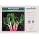 image 4 of Marshalls Garden Swiss Chard Seeds 'Pink Peppermint' 50 Seeds | Green | Pink Peppermint | 1