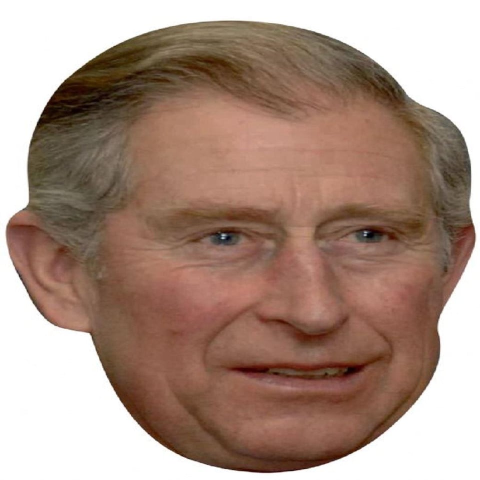 image 1 of 10pcs Prince Charles Masks Blue