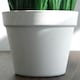 image 4 of Pack of 6 x 22cm Artificial Grass Plant