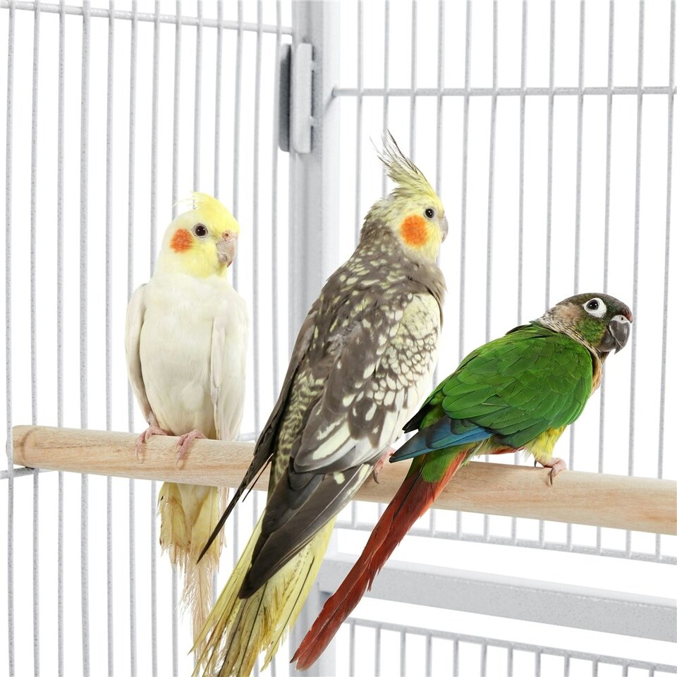 image 1 of Yaheetech 136 cm Tall Mobile Large Parrot Cage w/ Stand White