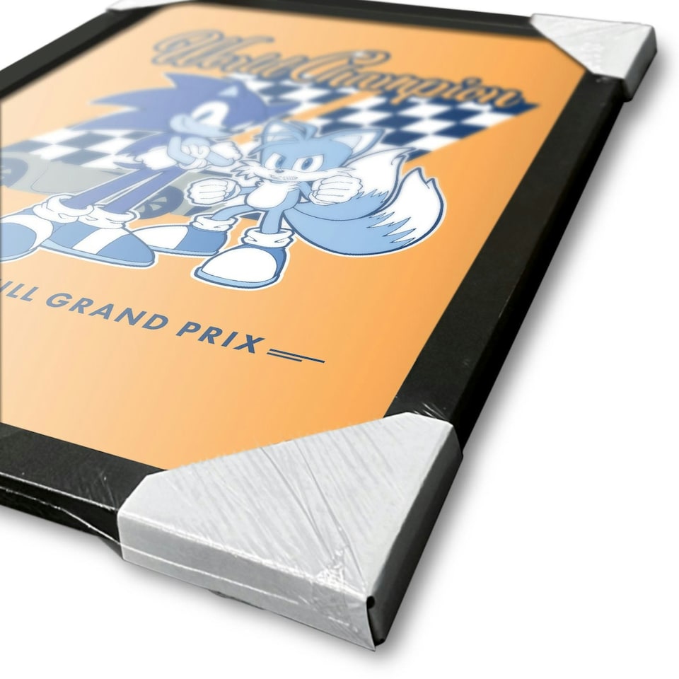image 1 of Sonic The Hedgehog (World Champion) Framed 30x40cm Print