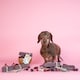 image 2 of YAKERS Cranberry Natural Himalayan Dog Chews - Pack of 5 (X-Large)