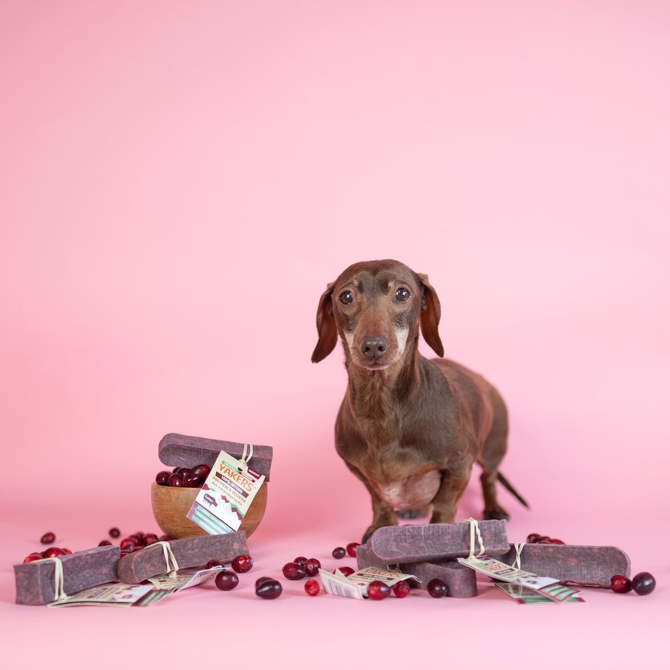 image 1 of YAKERS Cranberry Natural Himalayan Dog Chews - Pack of 5 (X-Large)