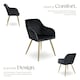 image 3 of Chair Marilyn - with armrests, padded, velvet look, golden steel legs - Set of 2 Black | Black/Gold