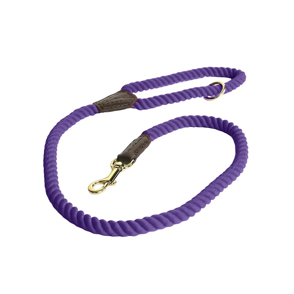 image 1 of Digby & Fox Twisted Dog Lead - Purple - One Size