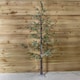 image 4 of 8ft (2.40m) Tall Light up Christmas Snow Tree with 412 Warm White LEDs