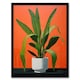 image 1 of Striking Plant Bright Orange Green Snake Home Decor Black Framed Wall Art Print A4