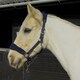 image 3 of Rhinegold Comfort Headcollar And Rope Set Red | Size: Cob
Colour: Red