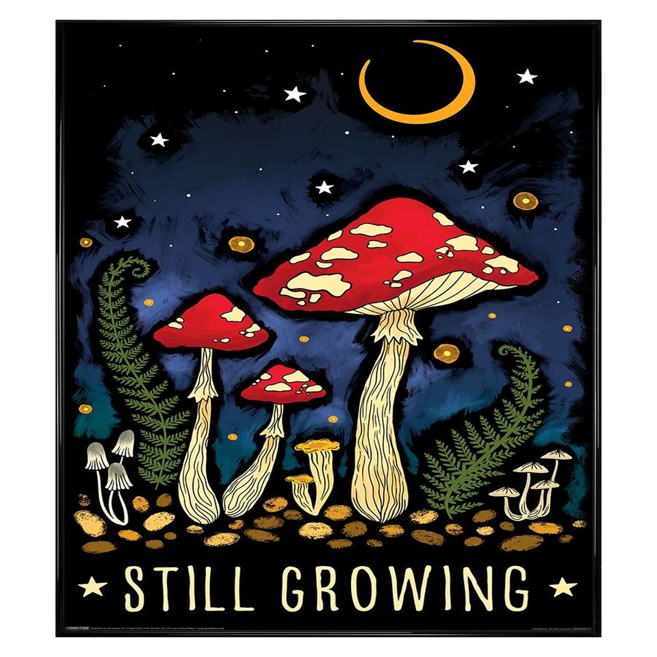 image 1 of Black Gloss Framed Magical Mushroom Still Growing Maxi Poster
