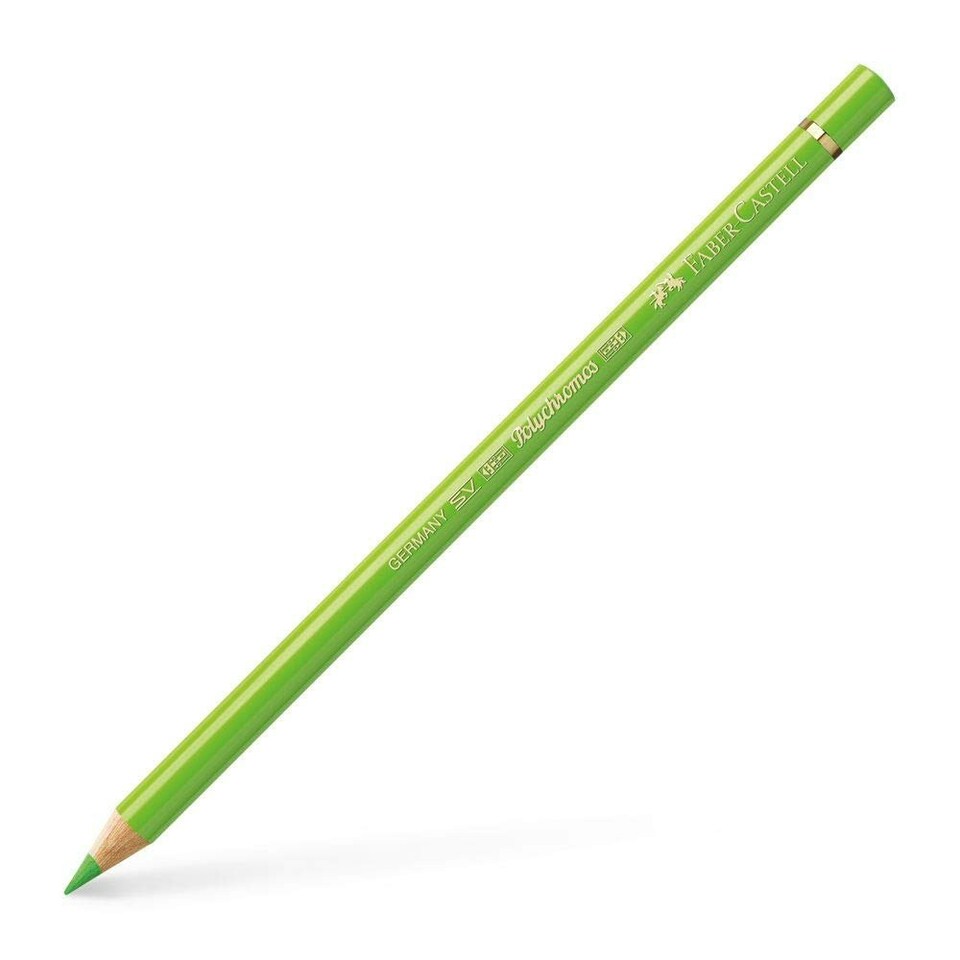 Faber-Castell - Polychromos Artists' Pencil, Light Green (171) - FC110171