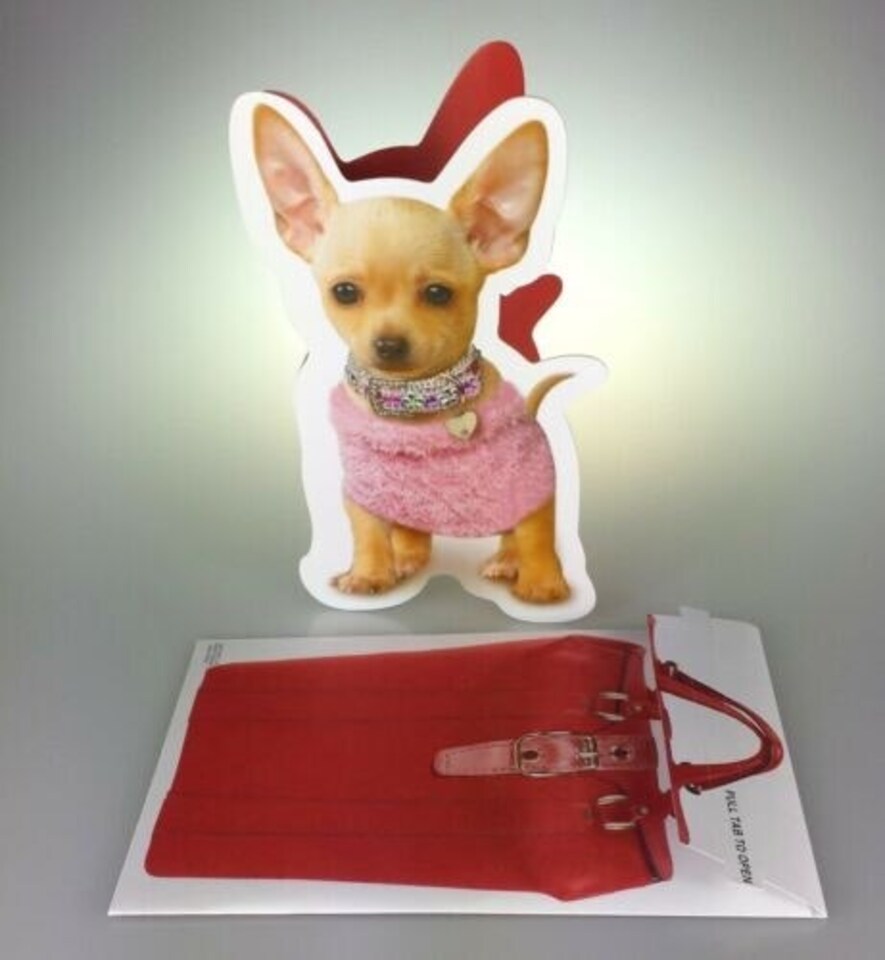 image 1 of Little Dog In Handbag Birthday Sound Card
