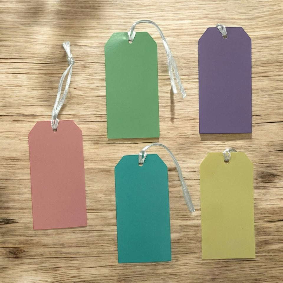 image 1 of Pack of 10 Assorted Pastel Colour 120x60mm Strung Tags