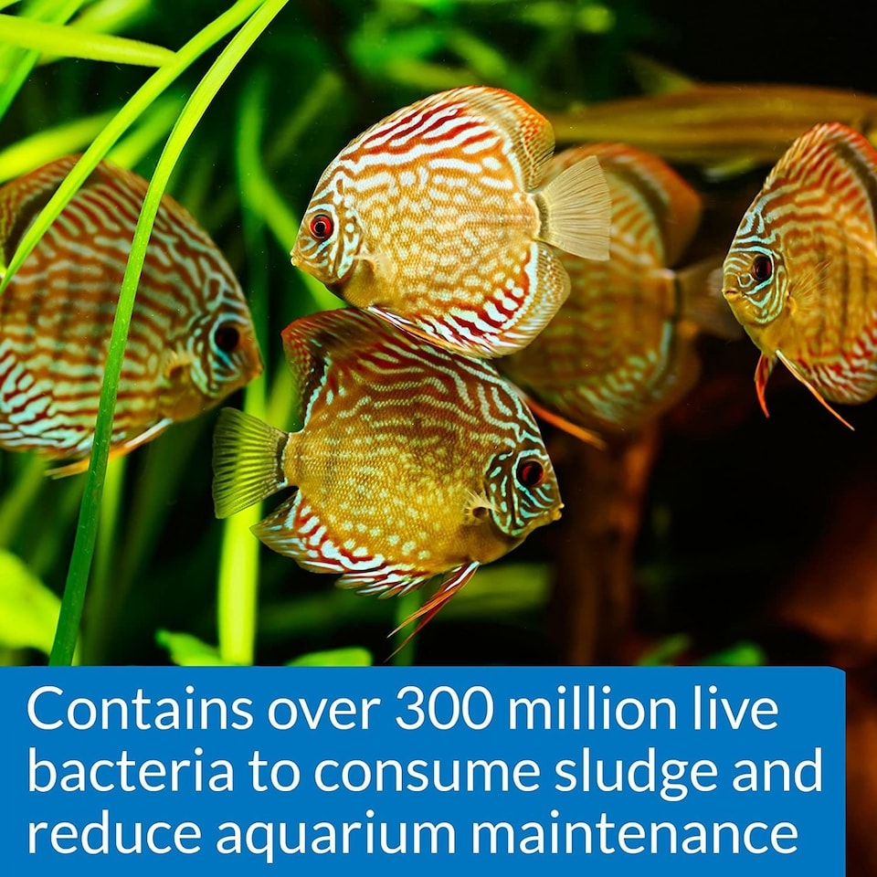 image 1 of API Stress Coat 473ml and API Stress Zyme 473ml Bundle Aquarium Water Conditioner and Bacteria Water Treatment