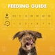 image 5 of Pet Munchies Chicken Dog Training Treats, Natural Grain Free Tasty Bites Made Real Meat, Low in Fat 50g (Pack of 8)