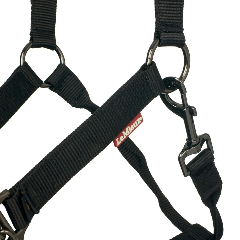 image 1 of LeMieux ProSafe Headcollar Black | Full