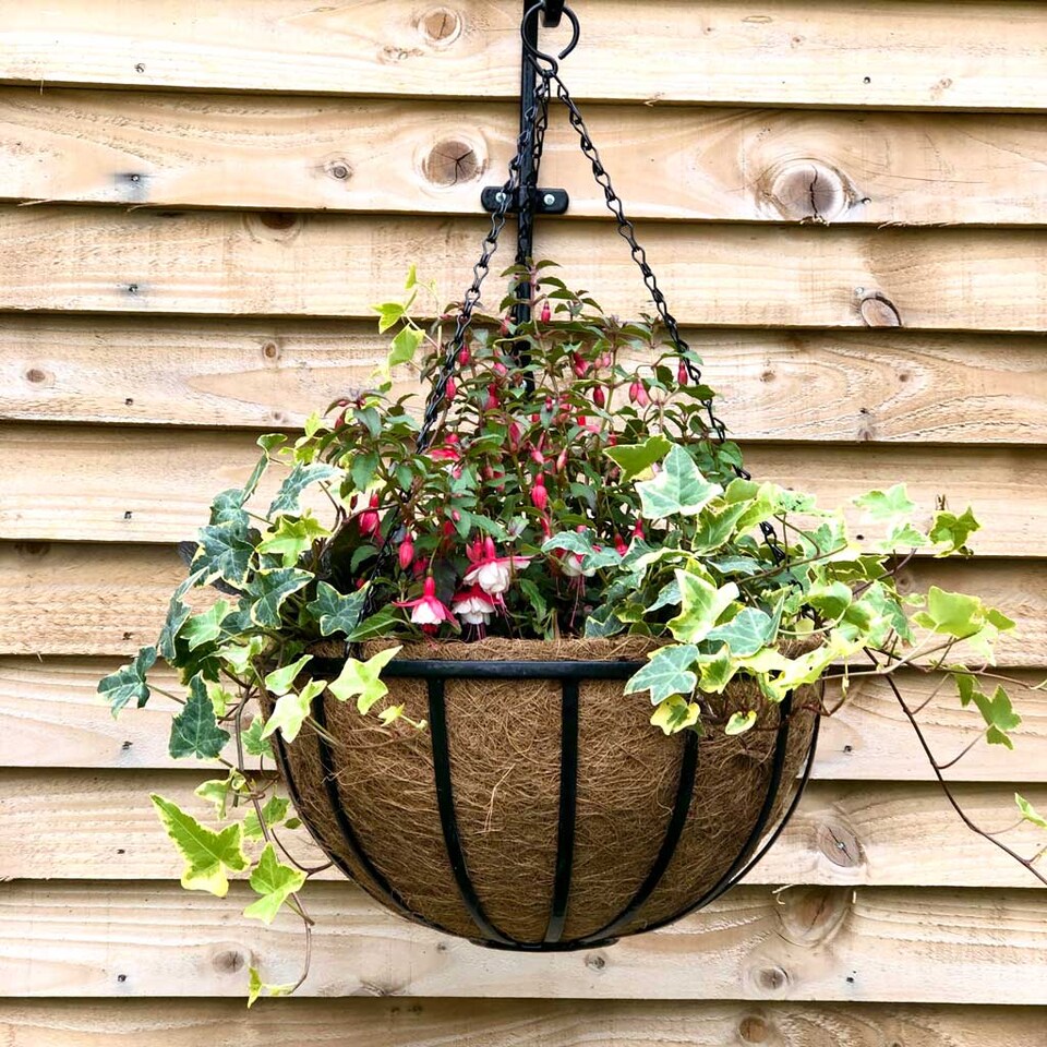 image 1 of Country Forge Pre formed Coco Hanging Basket Liner 14in 35cm | Brown