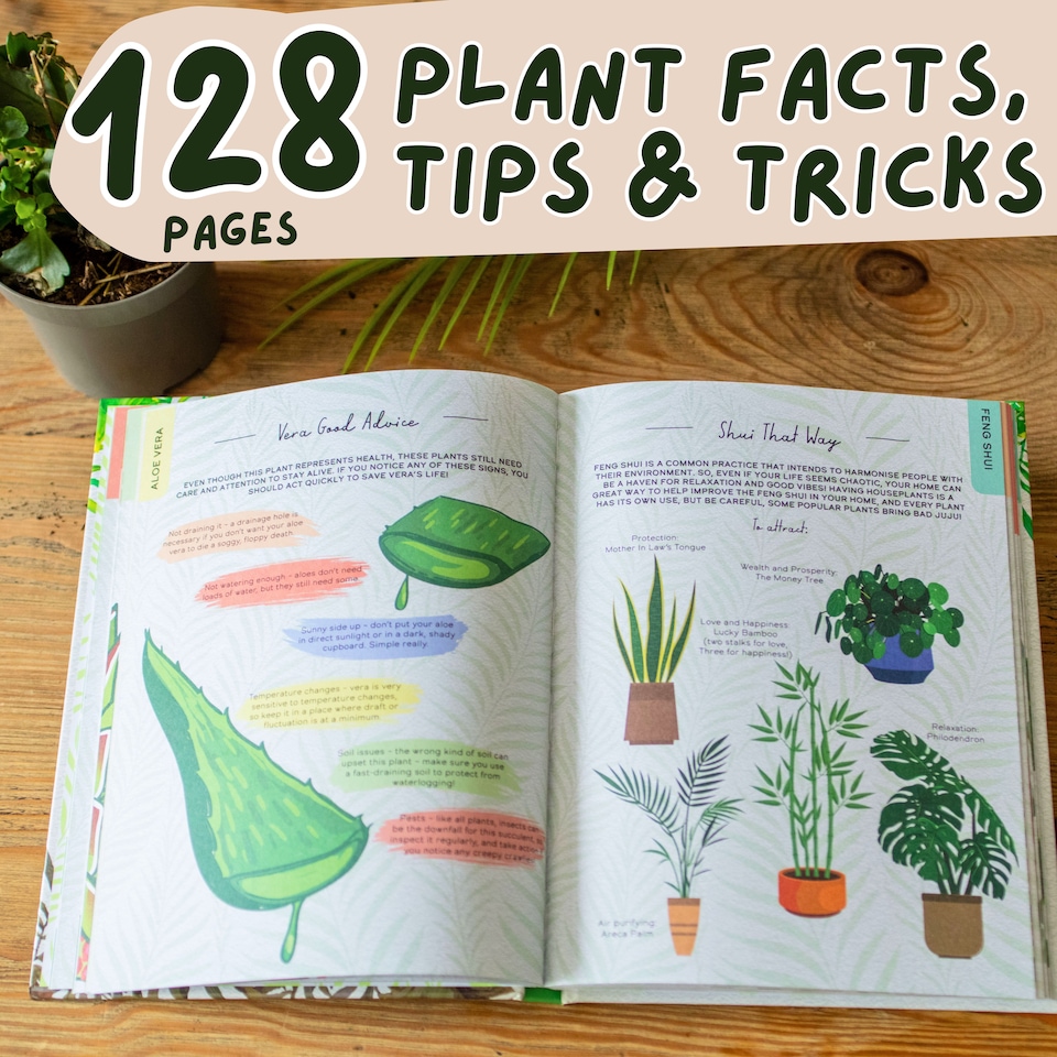 image 1 of Please Don't Die Gift Book