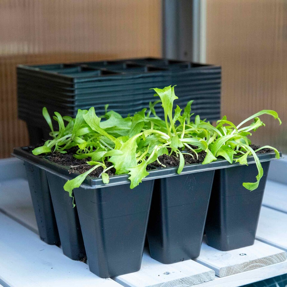 image 1 of Marshalls Garden 12 x 9-Cell Deep Seed Trays - UV-Resistant, Labeled, Fits Propagator