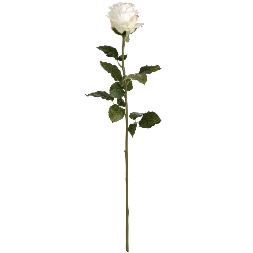 Hill Interiors Artificial Traditional Rose - White - One Size