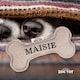 image 2 of History & Heraldry Pre-Personalised Squeaky Bone Dog Toy - Maisie